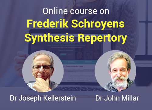 Frederik Schroyen’s Synthesis Repertory 
