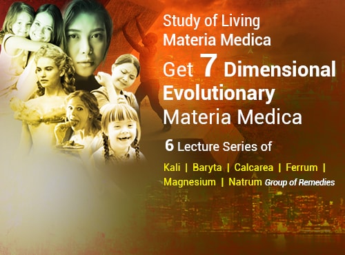 Evolutionary Materia Medica - 6 Sessions