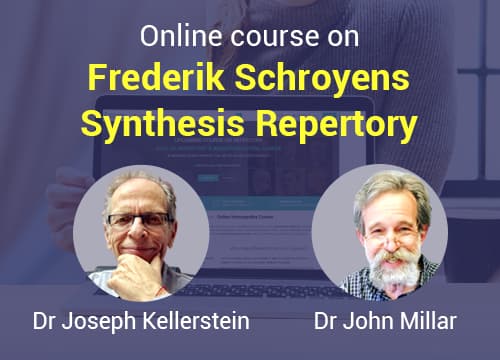 Frederik Schroyen's Synthesis Repertory