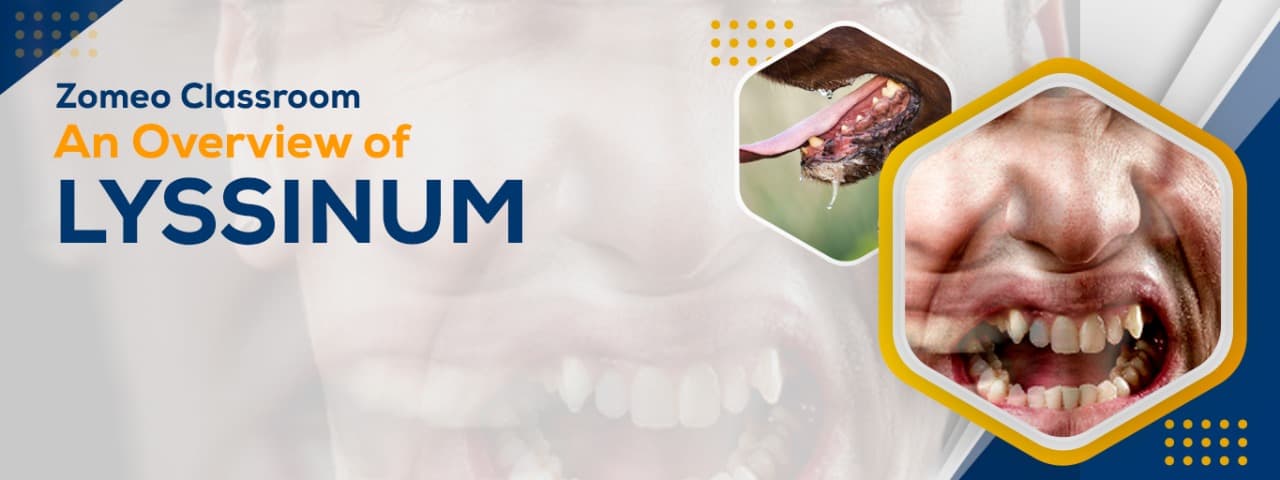 An Overview of LYSSINUM