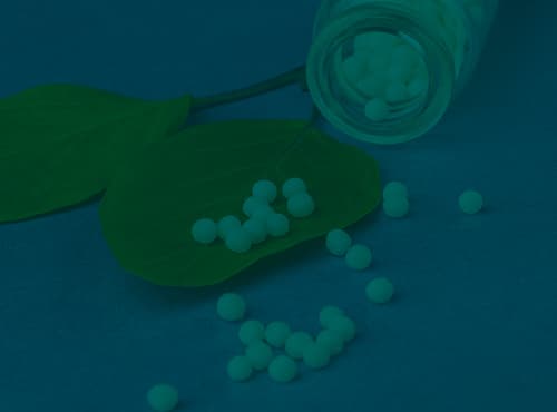 Become a Successful Global Homeopath